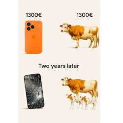 120 KB