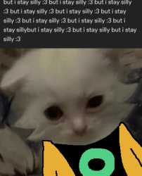 75 KB