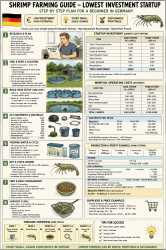 2.23 MB