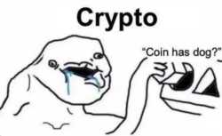 295 KB