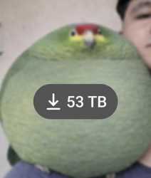 51 KB
