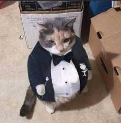 42 KB