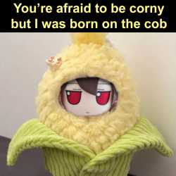 496 KB