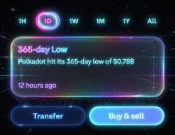 247 KB