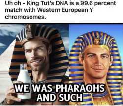 474 KB
