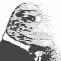 44 KB