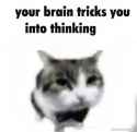 34 KB