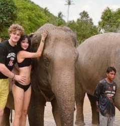 183 KB