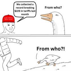 803 KB