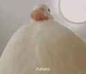15 KB