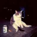 10 KB