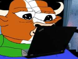 25 KB