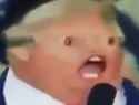 184 KB