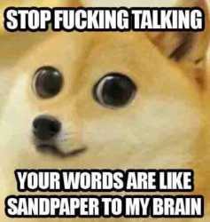 49 KB