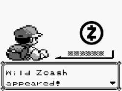 24 KB