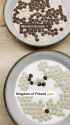 3.85 MB