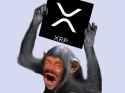 159 KB
