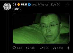 252 KB