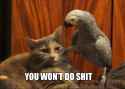 114 KB