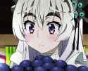 chaika grapes