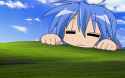 1920 by 1200 1181191-illustration-anime-anime-girls-grass-sky-wind-Windows-XP-Microsoft-Windows-Lucky-Star-Izumi-Konata-grassland-meadow-plain-screenshot-computer-wallpaper-532272669