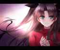 __tohsaka_rin_fate_and_1_more_drawn_by_mallizmora__9cab5caaad071492c297da328117c7ae