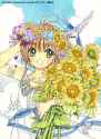Kinomoto.Sakura.full.3032160