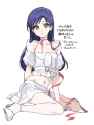 Chihaya 13091