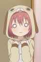 akari dog costume