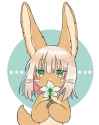 drawn_by_kawasemi27