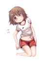 5e70d7194a92339ff30c3be86db3dd03
