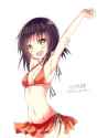 beachbukki