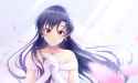 Chihaya 13647
