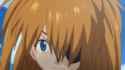 shiki