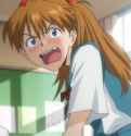 shiki blush