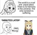 304 KB