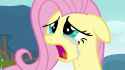 Crying_Fluttershy_S2E22