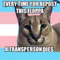 Floppa_says_no_to_trannies