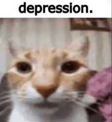 429f265289beab020ac3876f9ac93489