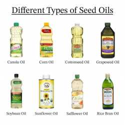 types-seed-oils-1024x1024