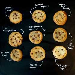 Cookie-Experiment-scaled