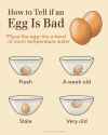 how-to-tell-if-an-egg-is-bad-graphic-01