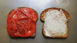 7684fd4d-e069-4d2f-addf-5e9fa0011095--tomato_sammy