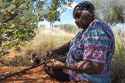 1280px-Yuendumu_Gold_06