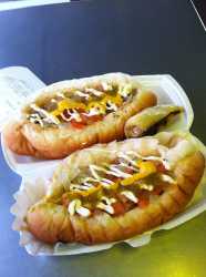 Sonoran_dog_GC_0052