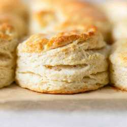 Buttermilk-Biscuits-7s-500x500[1]