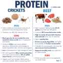 crickets-vs-beef-protein-nutrition-1024x1024-3193488872