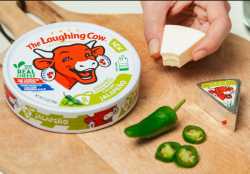 laughing cow