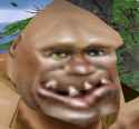 2tbQ0Ke