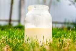 rawmilk